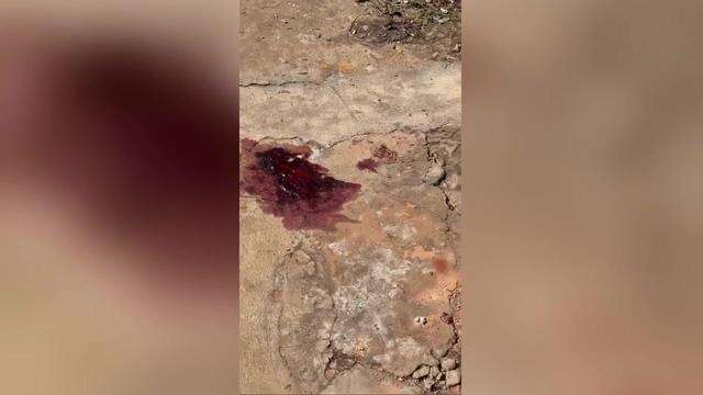 Marcas de sangue no chão após morte a garrafadas