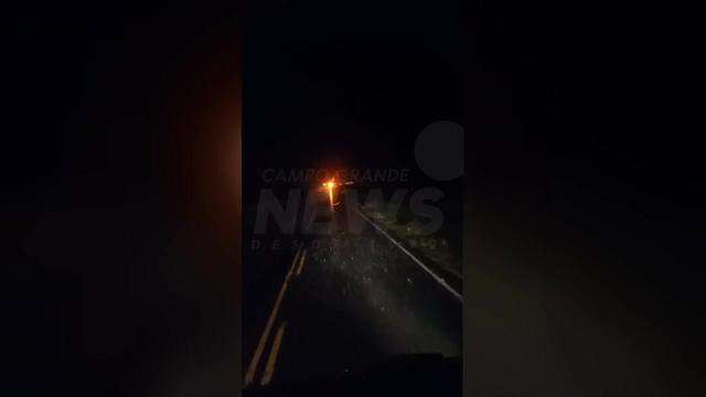 Galhos na rodovia após rajada de vento