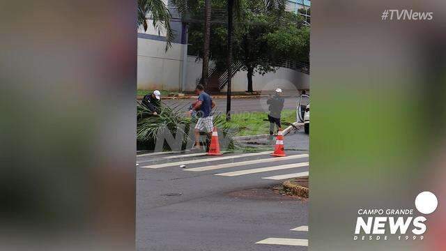 Motoristas usam corda para retirar coqueiro que obstruía a avenida