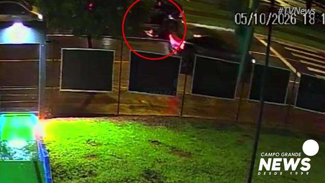 Capivaras são atropeladas na Avenida Afonso Pena